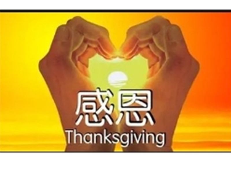 學會感恩,工作就(jiù)順了(le/liǎo)
