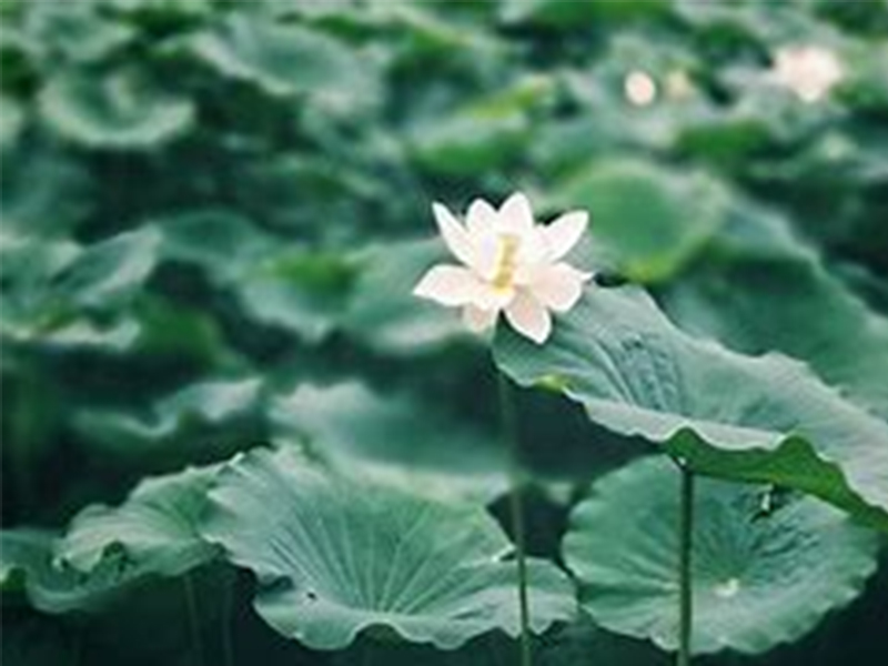戒掉抱怨 放下面子(zǐ) 懂得感恩